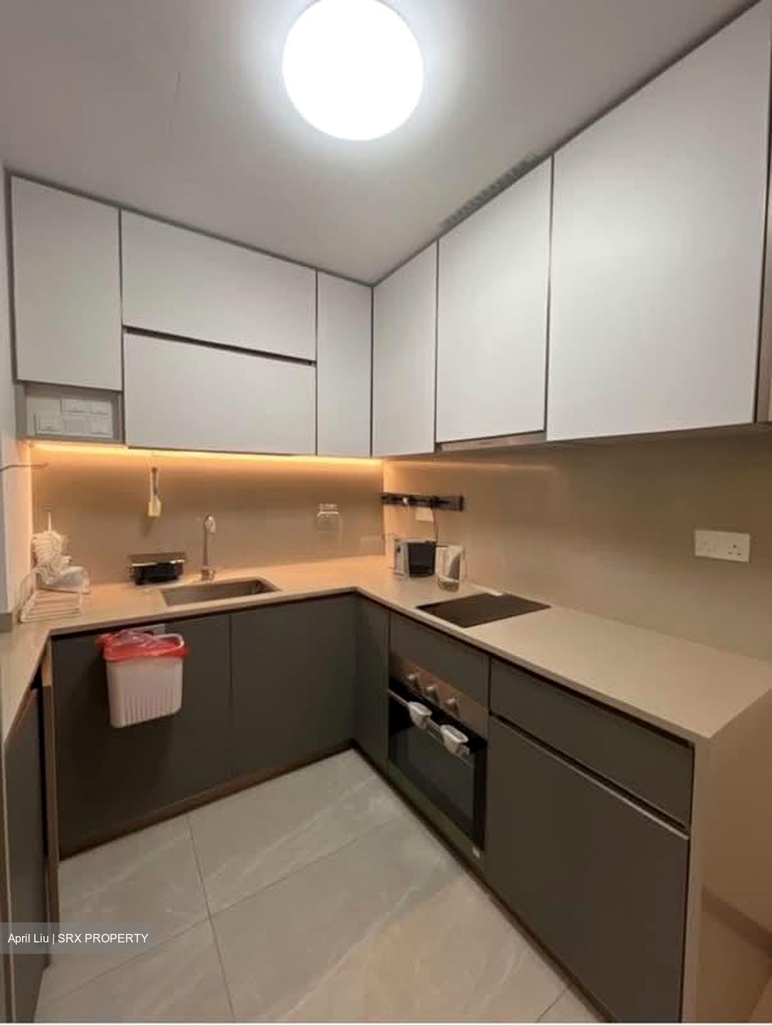 Normanton Park (D5), Apartment #527434301